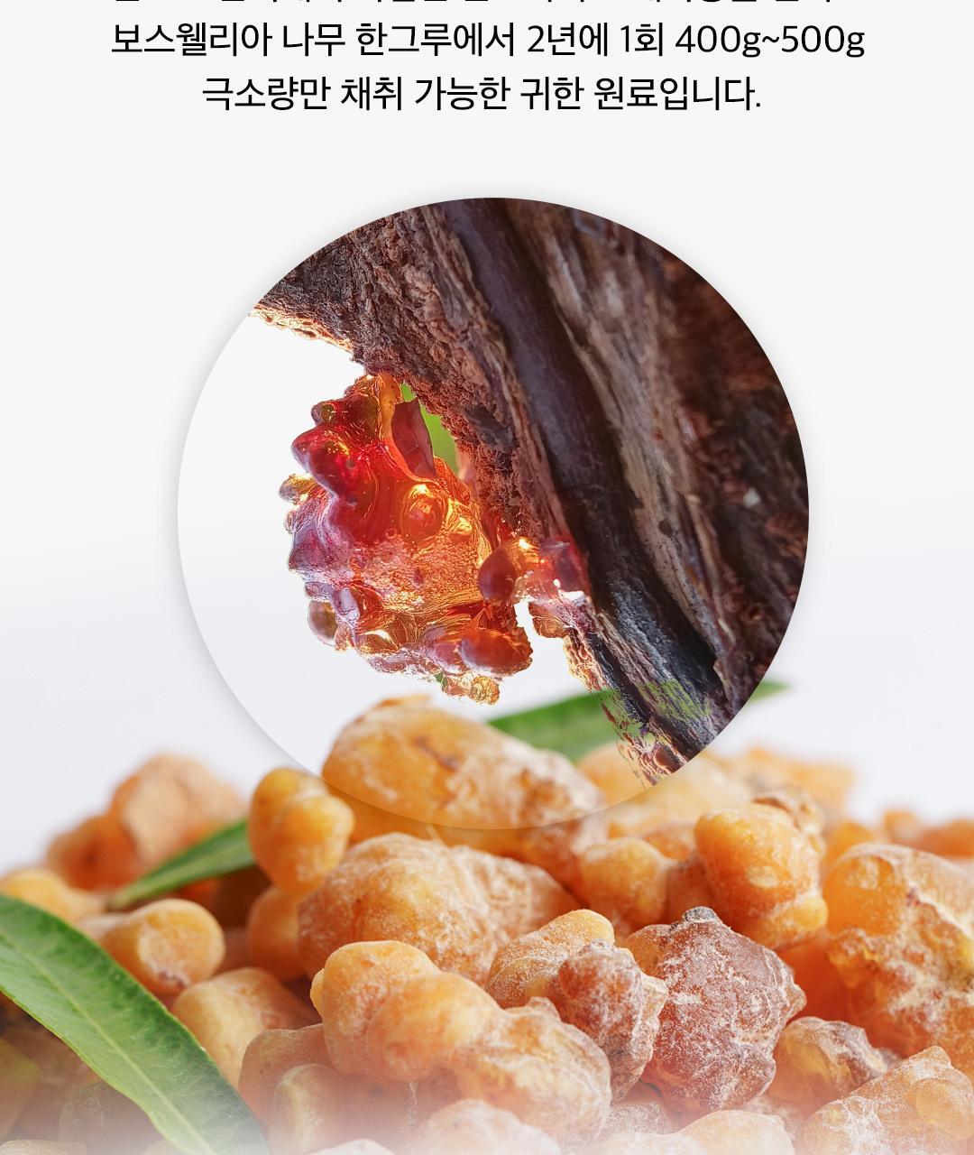 [이준혁PICK] 프롬바이오 관절연골엔 보스웰리아 60정 (1개월분) 상세페이지 9
